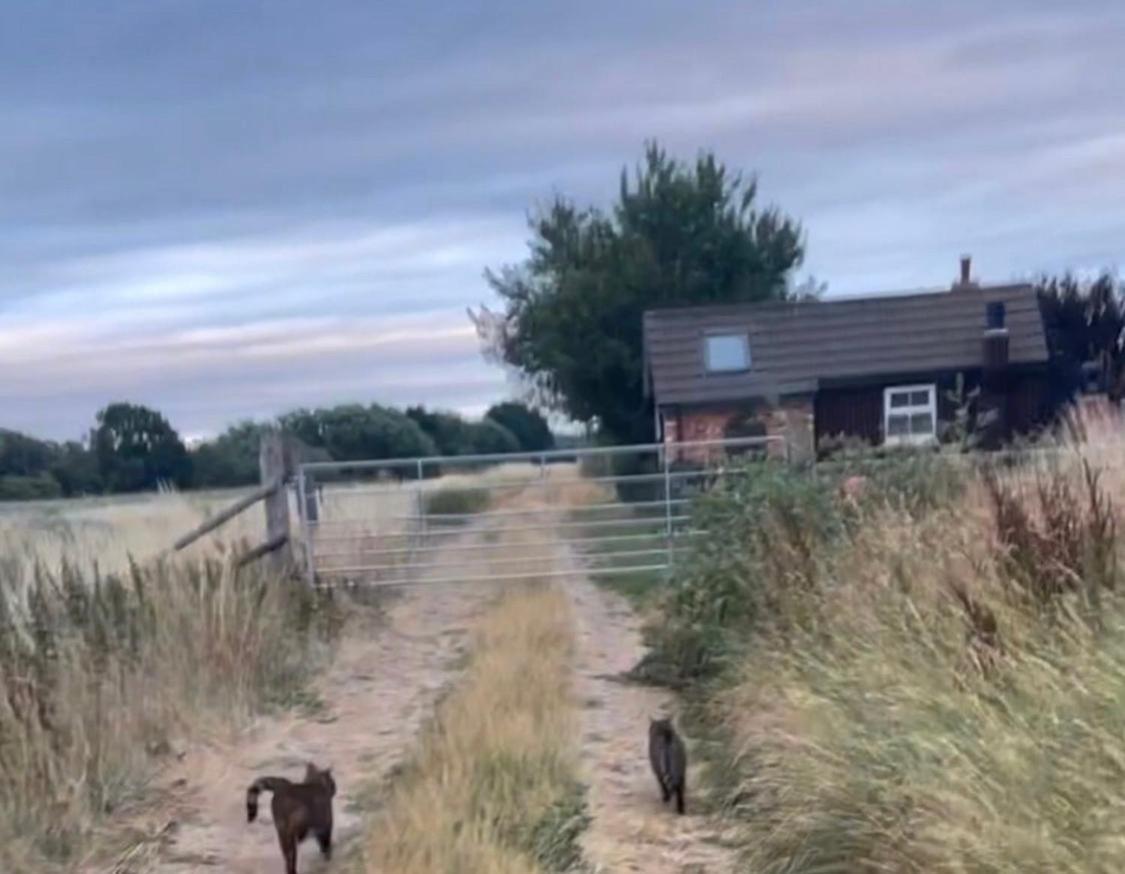 Retreat Little House With Private Hot Tub Holiday home Lincoln